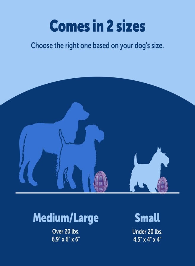 بيت سيف لعبة PetSafe Busy Buddy Kibble Nibble للكلاب - تشجع غريزة التغذية الطبيعية - تصميم حاصل على براءة اختراع لعداد المكافآت - مصدات مطاطية - كرة تغذية بطيئة تفاعلية - بنفسجي - صغير - Image 5